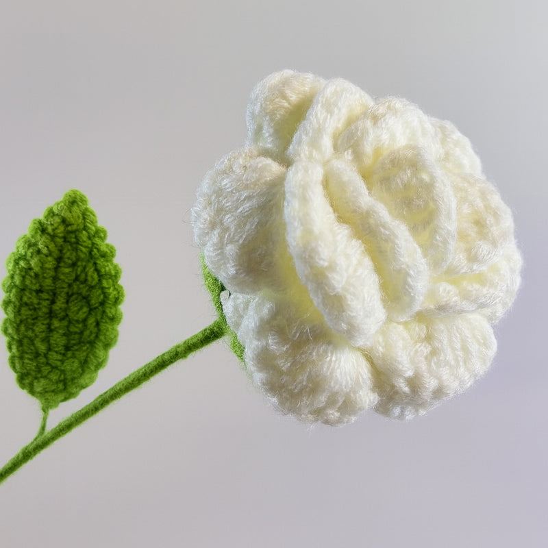 Forever Flowers | White Rose