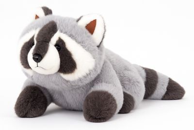 Racoon