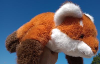 Red Fox