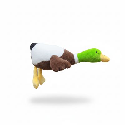 Mallard