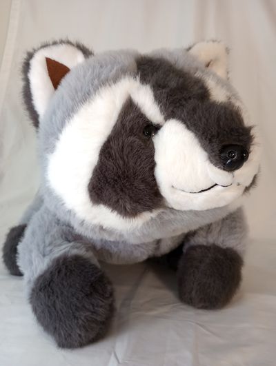 Racoon