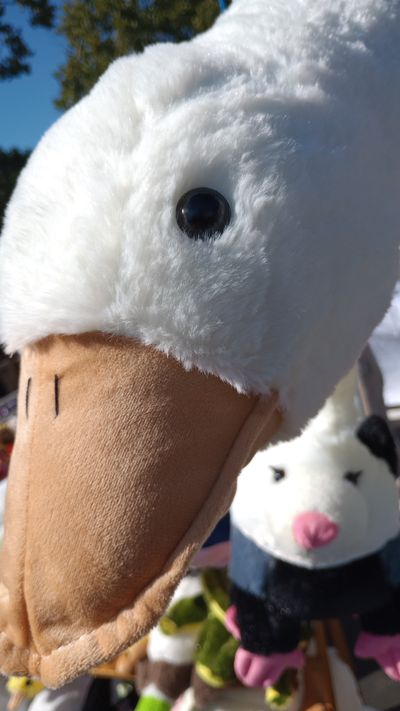 Goose