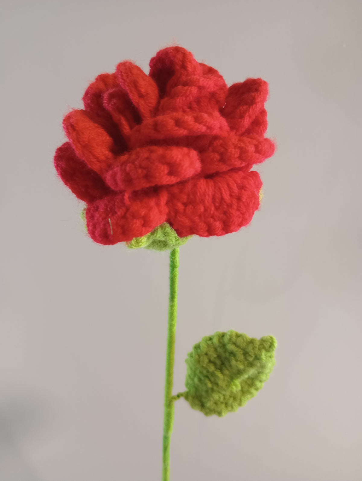 Forever Flowers | Variety