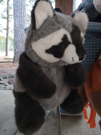 Raccoon Backpack
