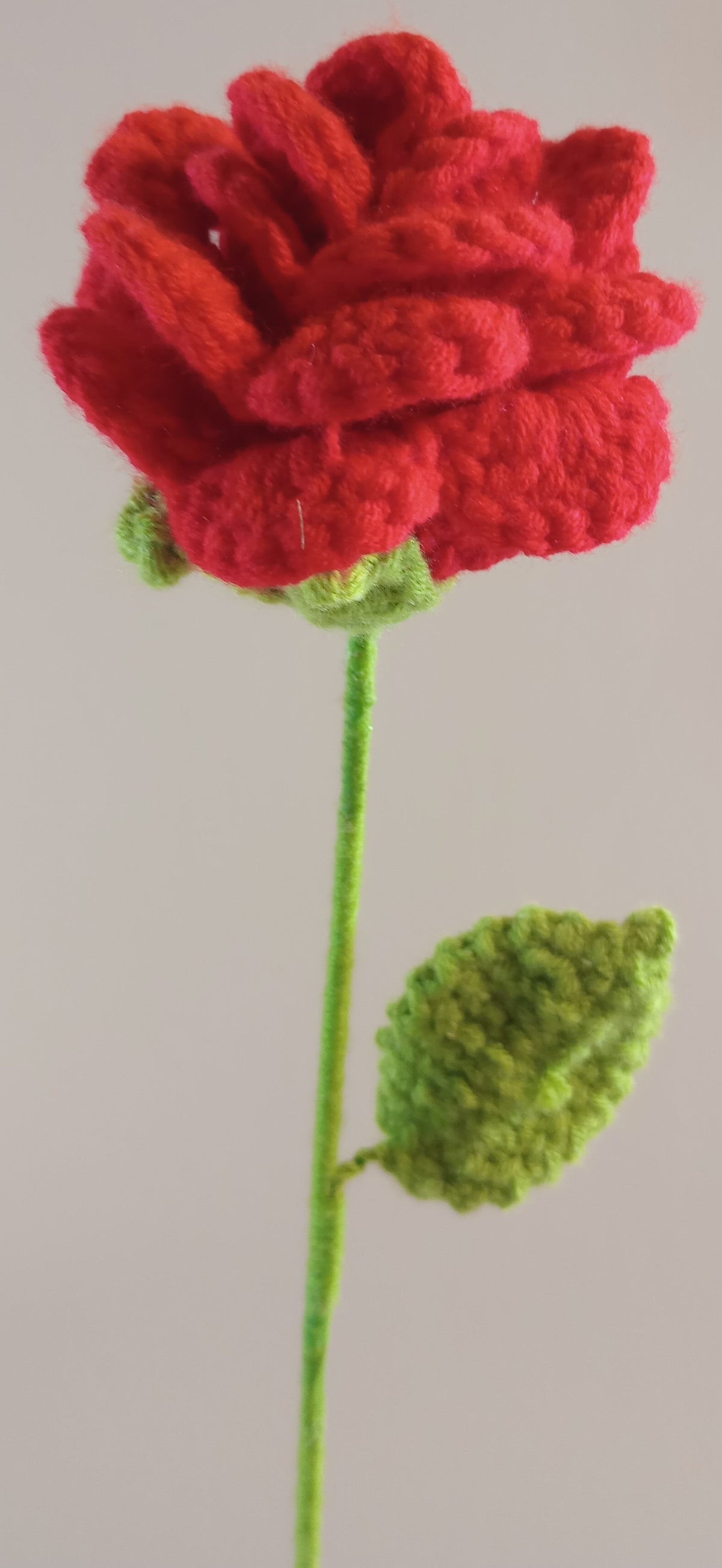 Forever Flowers | Variety