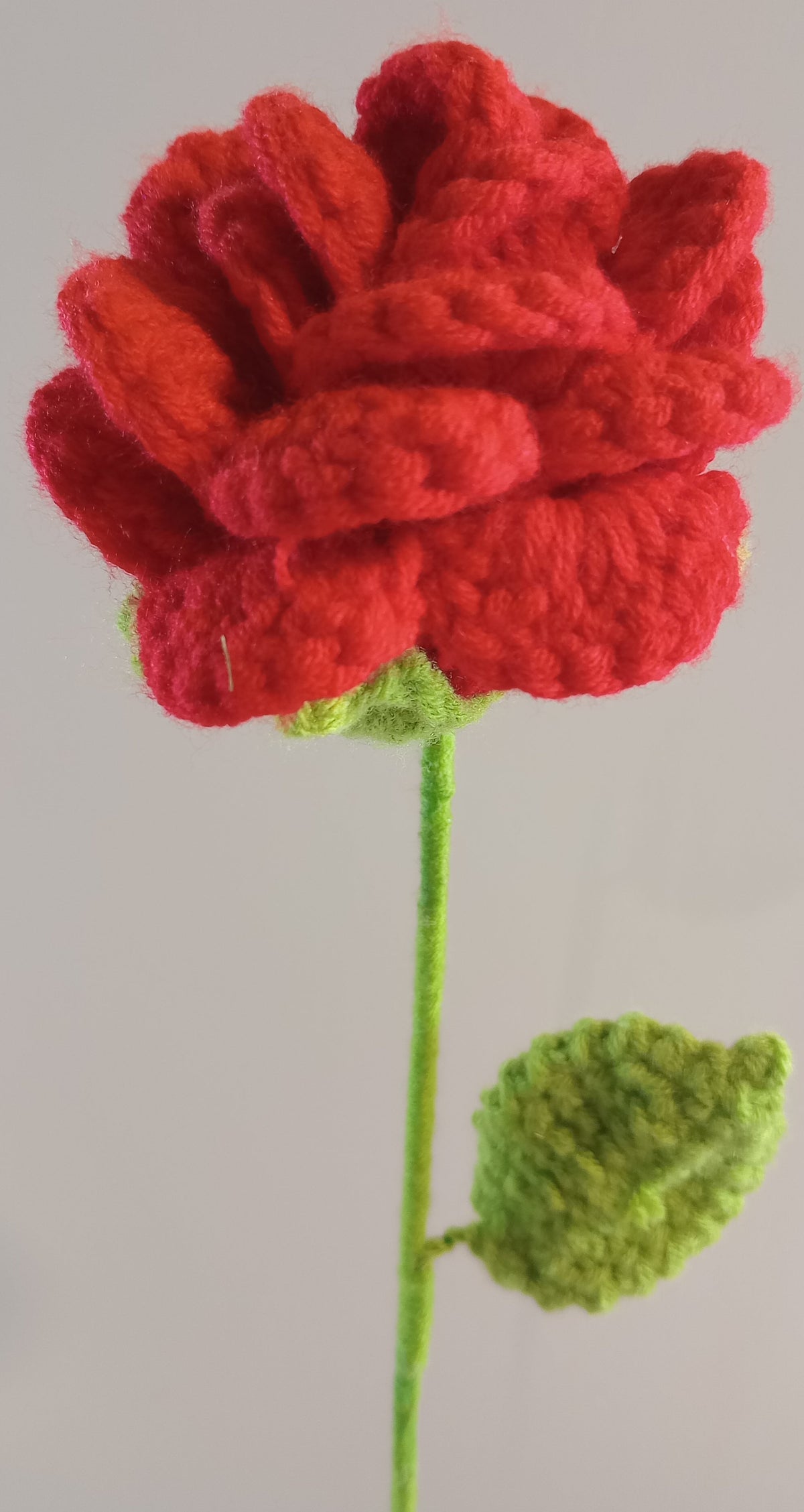 Forever Flowers | Variety