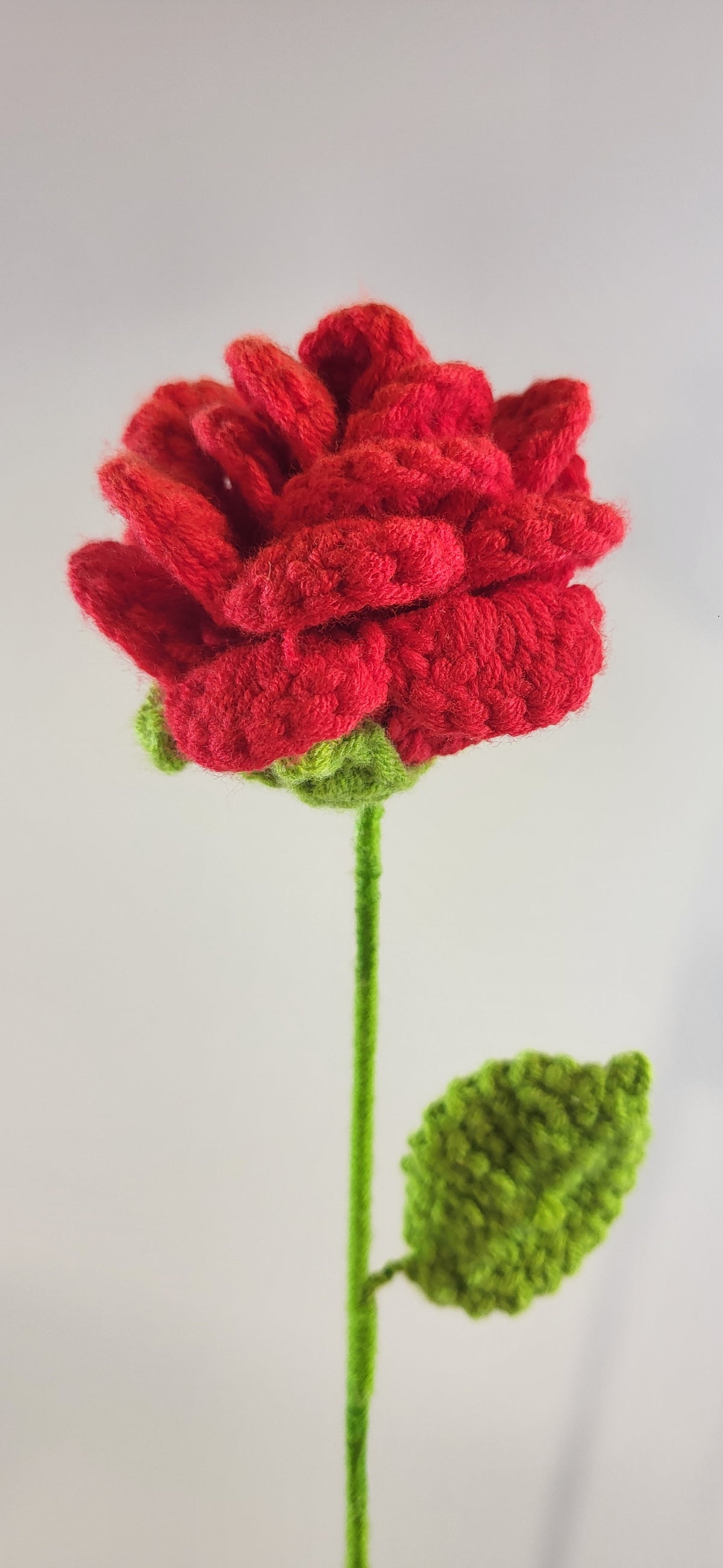 Forever Flowers | Variety